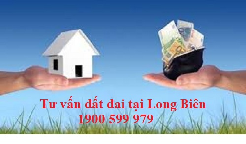 Tư vấn luật đất đai tại Long Biên
