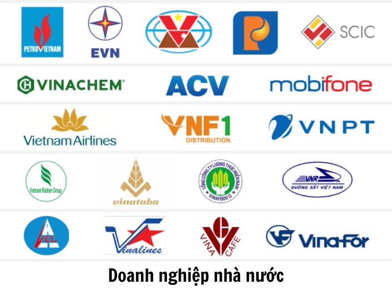 Kh&aacute;i niệm Doanh nghiệp nh&agrave; nước