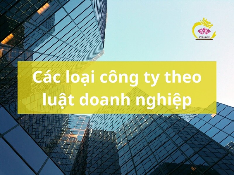 Tổng hợp 5 loại công ty phổ biến theo luật doanh nghiệp