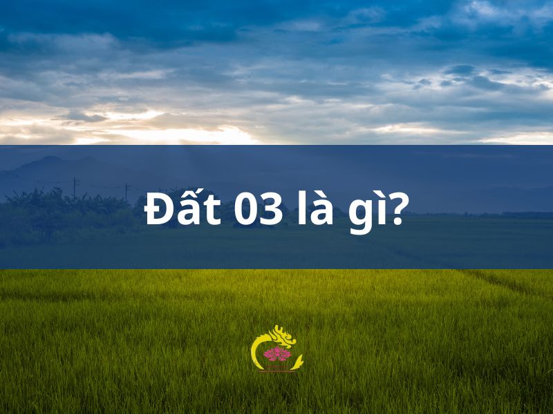 Đất 03 là gì? Đất 03 có được xây nhà không?