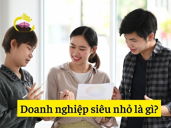 Doanh nghiệp siêu nhỏ là gì? Doanh nghiệp siêu nhỏ được hỗ trợ gì?