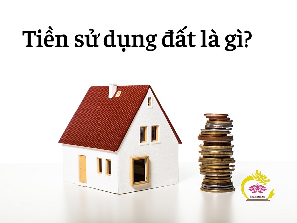 Tiền sử dụng đất là gì? Các trường hợp không phải nộp tiền sử dụng đất