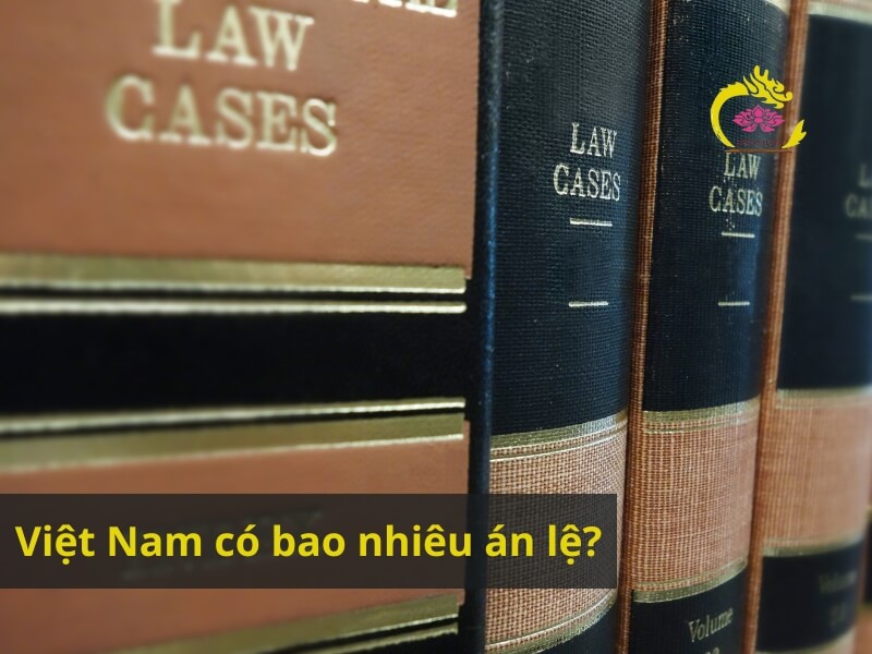 Việt Nam có bao nhiêu án lệ? Phân loại và nguyên tắc áp dụng